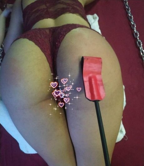 Gatas De Santa Maria Rs modèle exclusif galerie