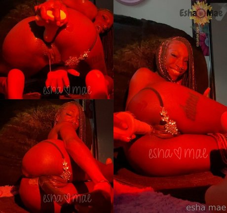 chaton potelé uniquementfans meilleur érotique galerie