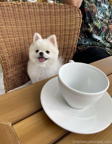 nova starr jolie star du porno archive