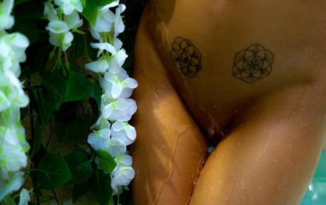 skyluxxe nus de stars du porno img