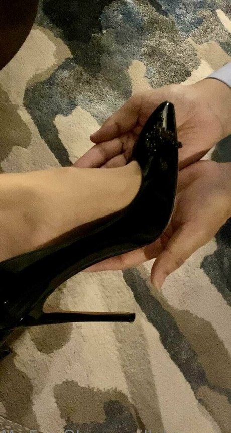 youwillplease me star du porno adulte collection