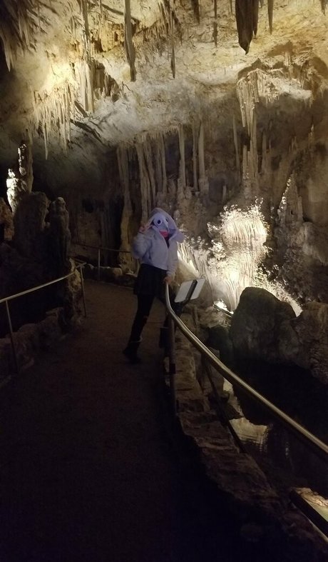 PDoctress modèle joli collection