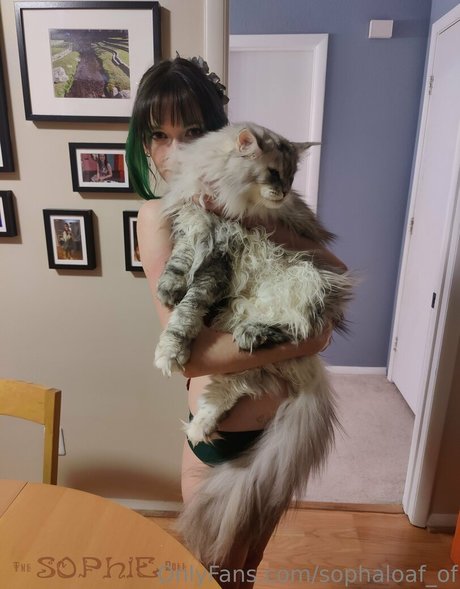 sophaloaf of haut étoile img