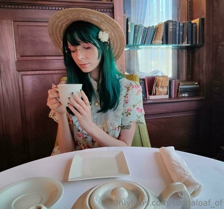 sophaloaf of étoile nue images