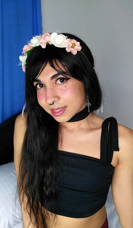 veronicasanders nus star du porno image