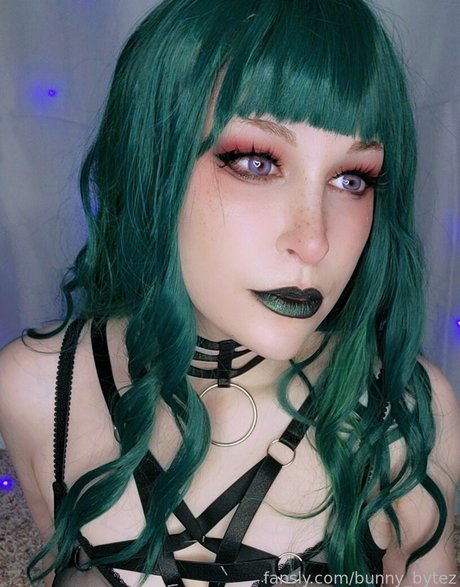 bunny bytez modèle joli collection