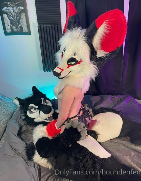 houndenfen haut de star du porno archive