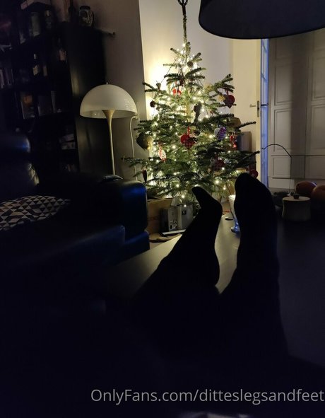 ditteslegsandfeet nus étoiles galeries