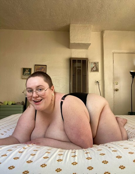 chubbyfrogprincess haut modèle image