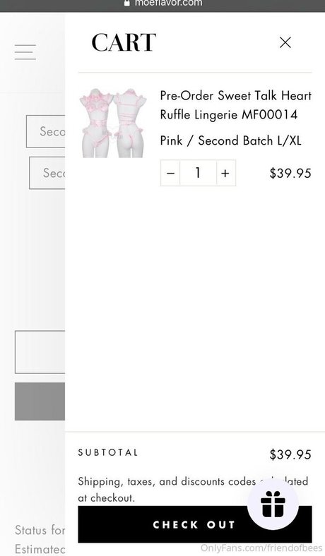 friendofbees art star du porno galerie