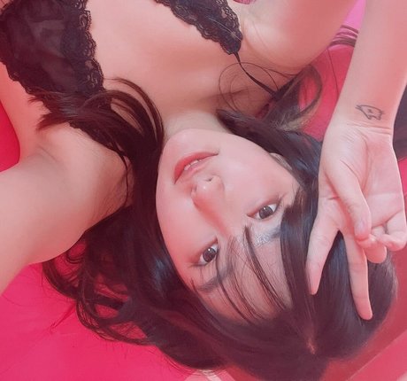 Sonson_ Fotoaufnahmen