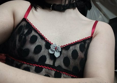 kadthepup étoile sympa photo