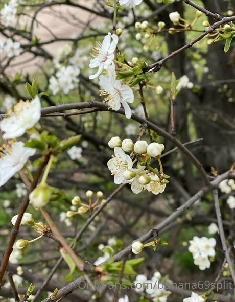 sexe en bikini uniquementfans hd xxx archive