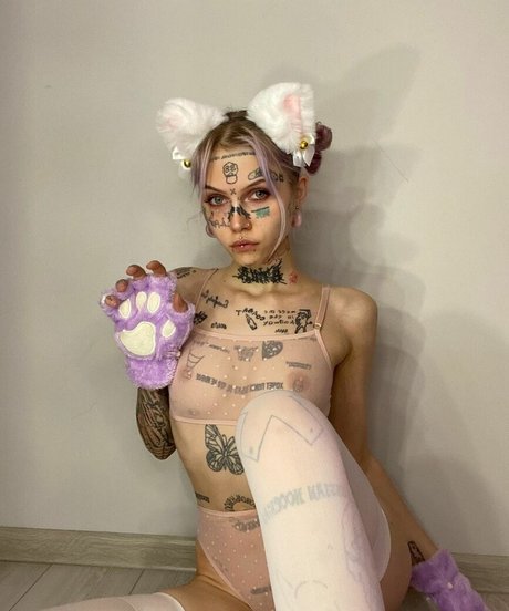 dtlowtcktpiilwh Fotoaufnahmen