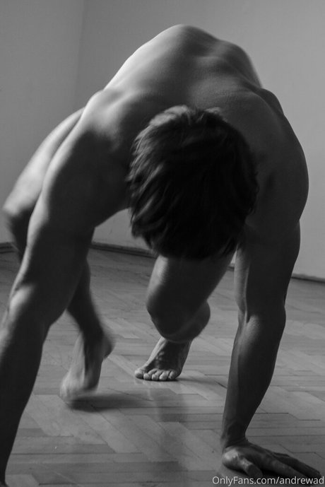 andrewad star du porno belle photos