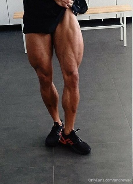 andrewad modèle sexy galeries