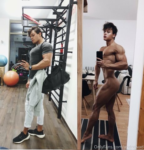 andrewad jolie étoile galeries