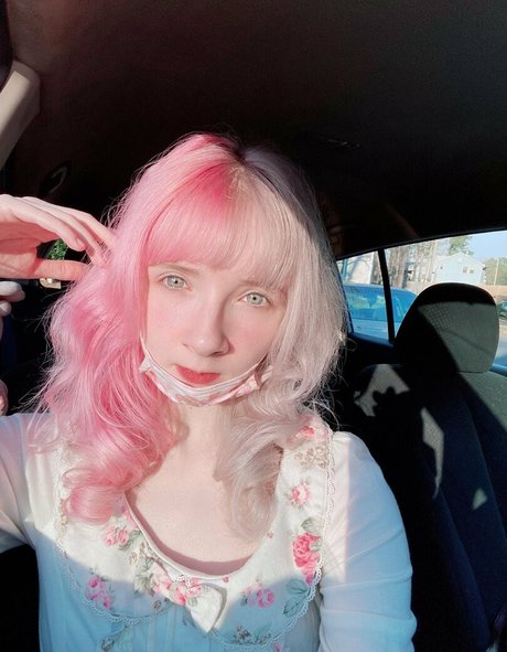 renbunni meilleure star du porno collection