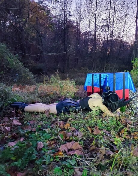 baisers lesbiens onlyfans gratuit de haute qualité photo