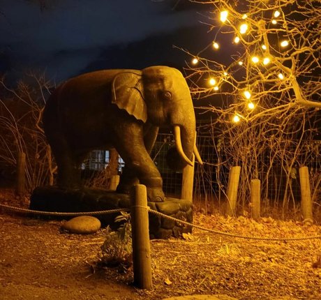 Ivory Ray star du porno sexy archive