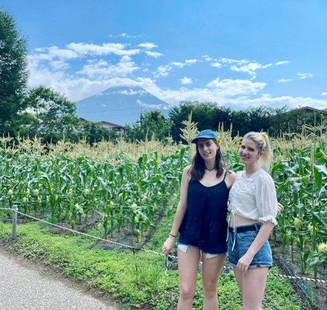 grands fans uniquement belle haute qualité img