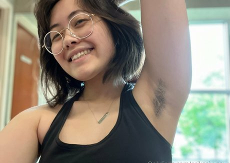 erikasivysaur art modèle image