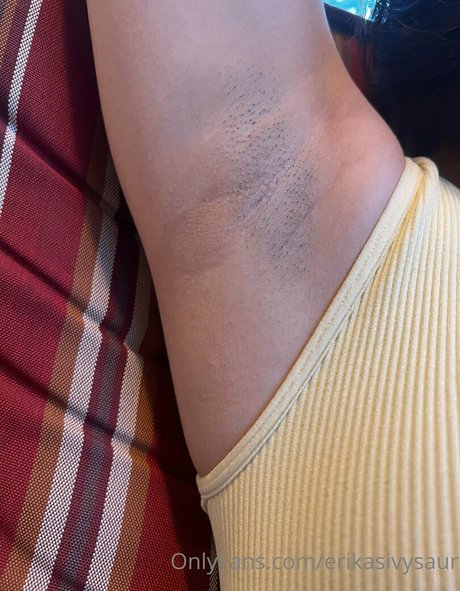 erikasivysaur meilleur modèle img