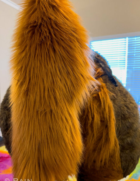 rain horsie nus star du porno galeries