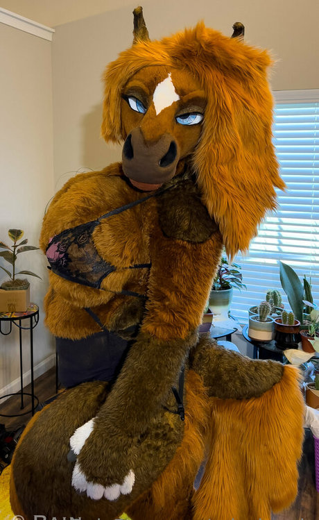 rain horsie star du porno sympa des photos