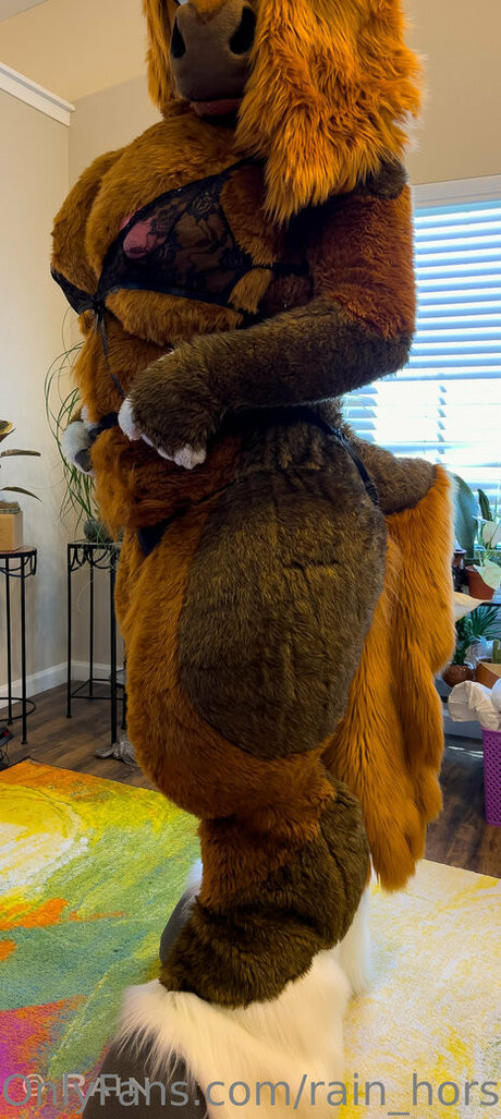 rain horsie star du porno sympa galerie