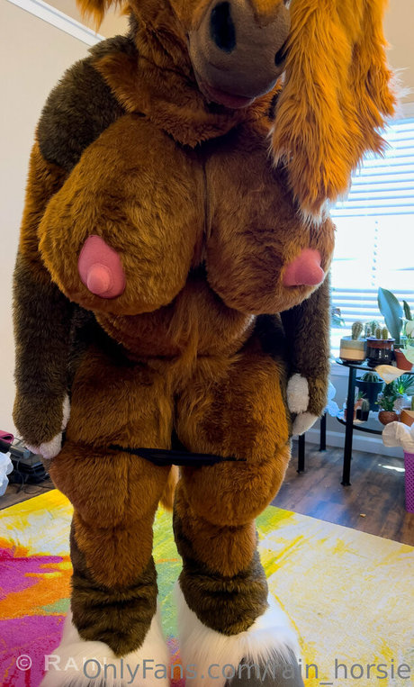 rain horsie modèle magnifique photos