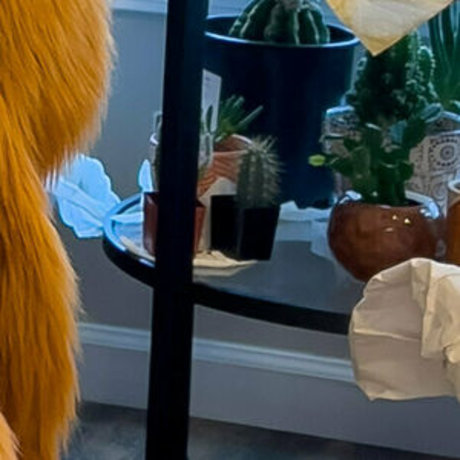 rain horsie actrice de nus galeries