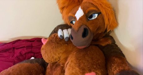 rain horsie nus de stars du porno img