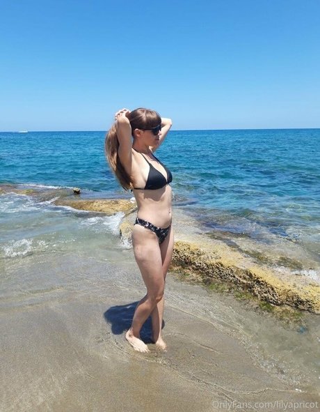 fans uniquement du dmv porno meilleur image