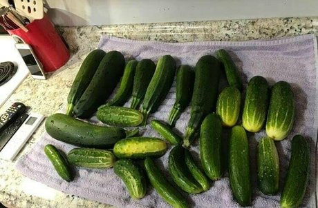 lovesamantha star du porno belle archive