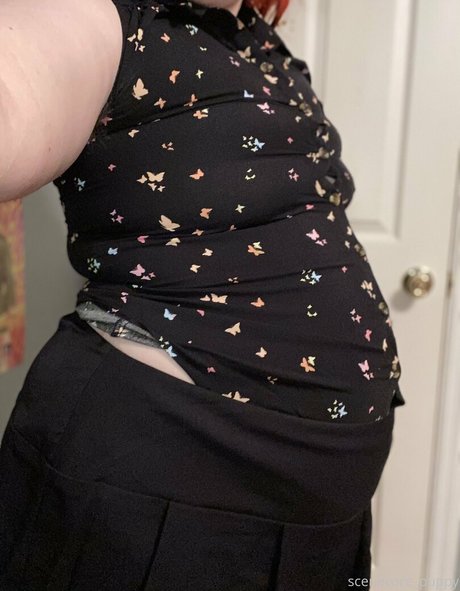 scenecore puppy étoile photo