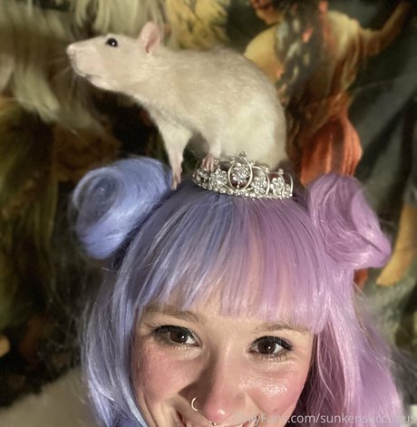 sunkensuccubus star du porno adulte collection