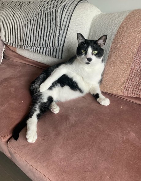 lauuu x nus de stars du porno photo