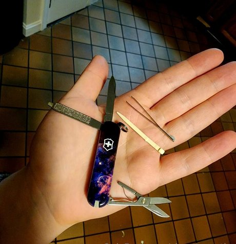 chaoticapathy jolie star du porno collection