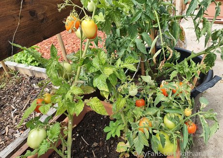 fans de gloryhole uniquement sexe de haute qualité images