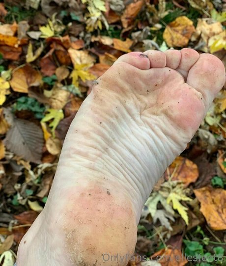 ellesfeet8 star du sexe img