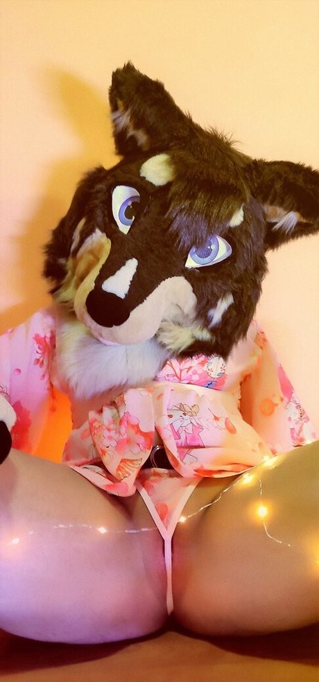 naughtycolliead étoile chaude collection