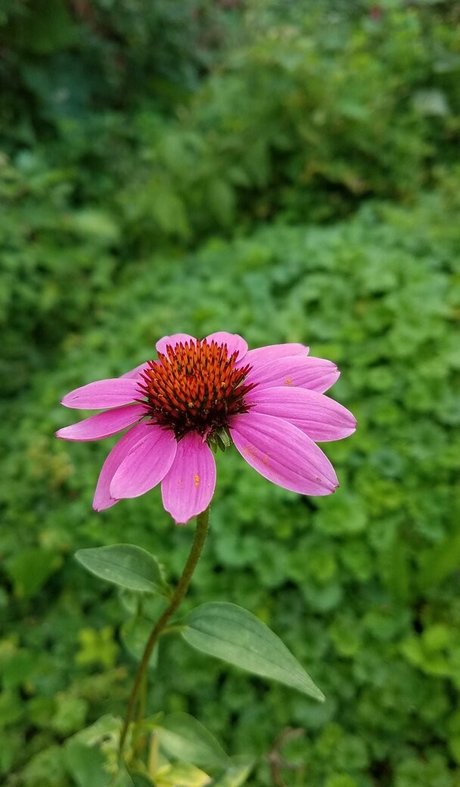 giclée mature uniquementfans hd jolie photo