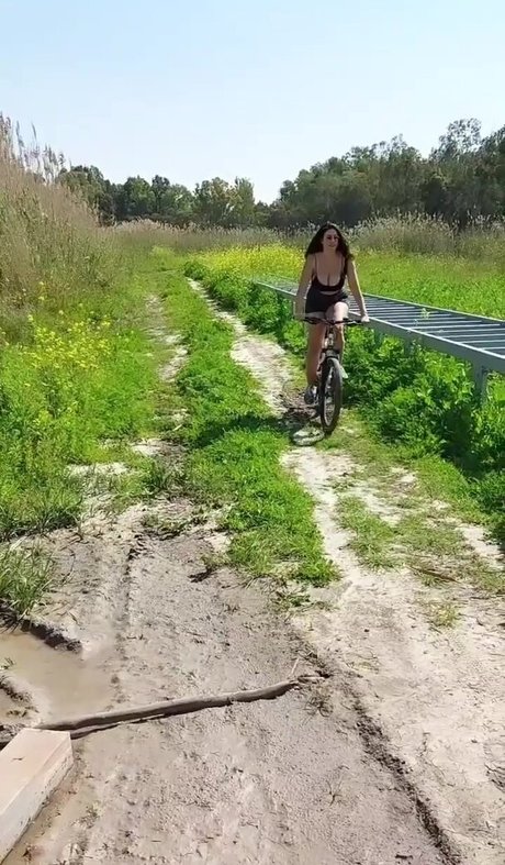 ppv uniquement pour les fans art sympa galerie