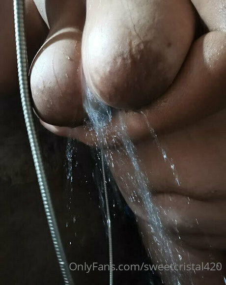 fans de pawg uniquement art meilleur archive