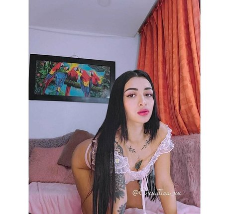 exxotica xx star du porno xxx archive