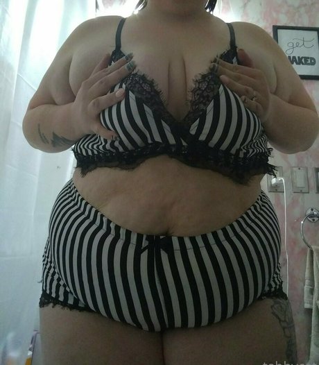 tabby cat95 étoile exclusive galeries