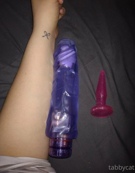 tabby cat95 jolie étoile archive