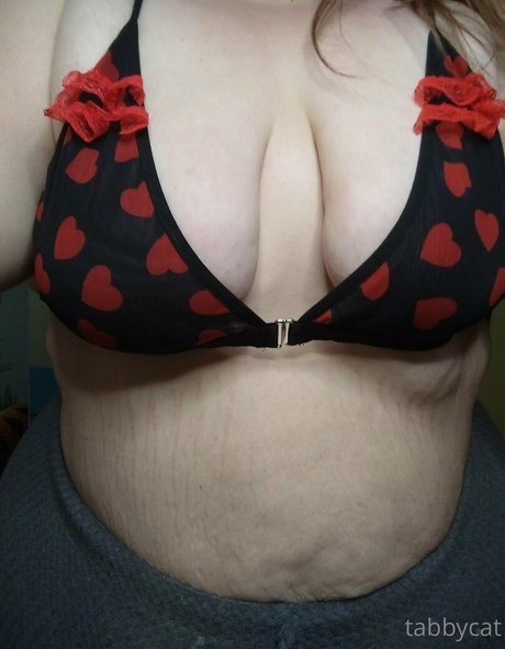 tabby cat95 modèle joli img