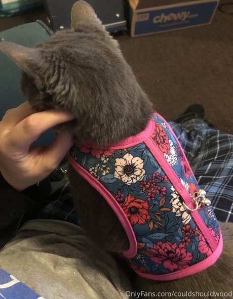 couldshouldwood star du porno nue photos